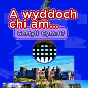 Cyfres a Wyddoch chi: A Wyddoch Chi am Gestyll Cymru?