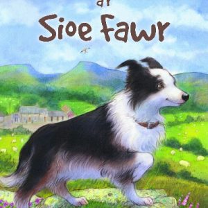 Cyfres Roli Poli: Nan a'r Sioe Fawr