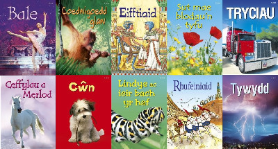 Pecyn Dechrau Da 1 (10 Teitl)