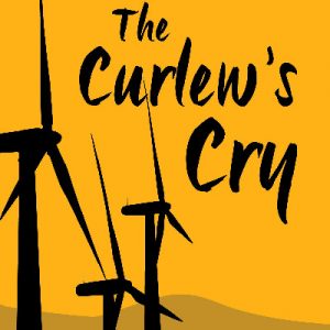 Curlew's Cry, The