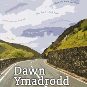 Dawn Ymadrodd - Taith Drwy'r Iaith