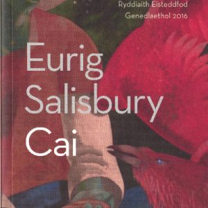 Cai - Enillydd y Fedal Ryddiaith 2016