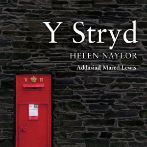 Cyfres Amdani: Y Stryd