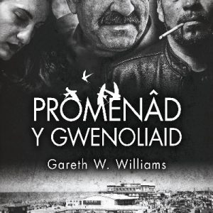 Promenâd y Gwenoliaid
