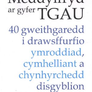 Meddylfryd ar Gyfer TGAU
