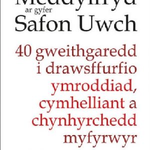 Meddylfryd ar Gyfer Safon Uwch