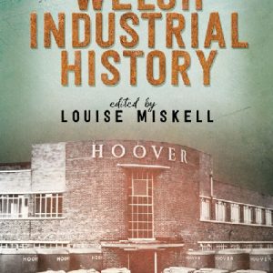 New Perspectives on Welsh Industrial History