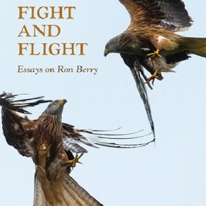 Writing Wales in English: Fight and Flight - Essays on Ron Berry