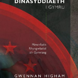 Safbwyntiau: Creu Dinasyddiaeth i Gymru - Mewnfudo Rhyngwladol a'r Gymraeg