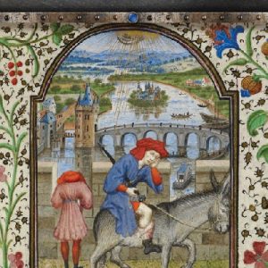 Medieval Animals: Introducing the Medieval Ass