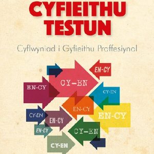 Sylfeini Cyfieithu Testun - Cyflwyniad i Gyfieithu Proffesiynol