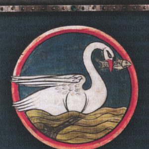 Introducing the Medieval Swan