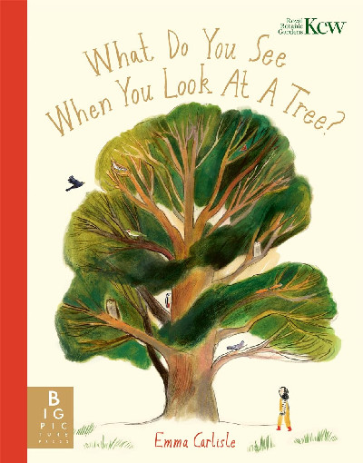 What Do You See When You Look at a Tree?