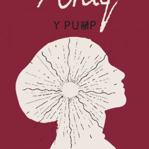 Y Pump - Aniq