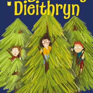 Dirgelwch y Dieithryn
