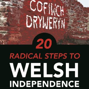 20 Radical Steps to Welsh Independence