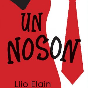 Stori Sydyn: Un Noson