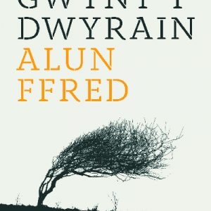 Gwynt y Dwyrain