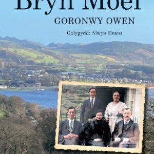 Hogyn Bryn Moel