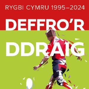 Stori Sydyn: Deffro'r Ddraig
