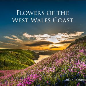 Flowers of the West Wales Coast