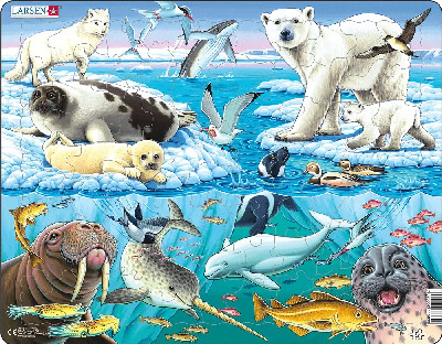 Jig-so Bywyd Gwyllt yr Arctig / Wildlife in the Arctic Jigsaw