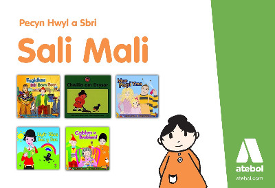 Pecyn Hwyl a Sbri Sali Mali