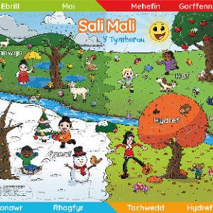 Jig-So Sali Mali: Y Tymhorau