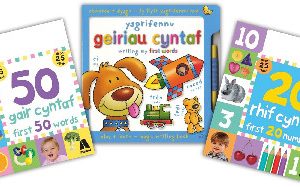 Pecyn Anrheg Atebol i'r Plant Iau / Atebol Gift Pack for Young Children