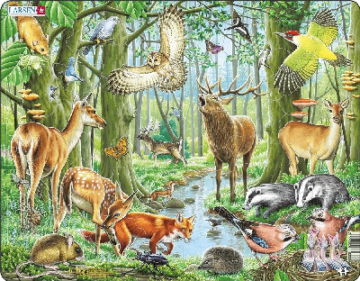 Jig-So Anifeiliaid y Goedwig