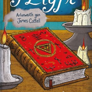 Cyfres Amdani: Y Llyfr