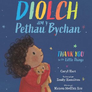 Diolch am y Pethau Bychan / Thank you for the Little Things