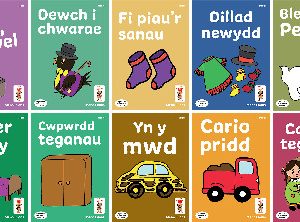 Llyfrau Hwyl Magi Ann - Cam Tedi