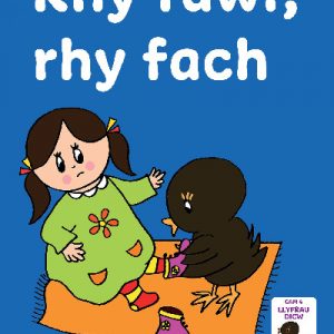 Llyfrau Hwyl Magi Ann: Rhy Fawr, Rhy Fach