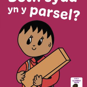 Llyfrau Hwyl Magi Ann: Beth sydd yn y Parsel?