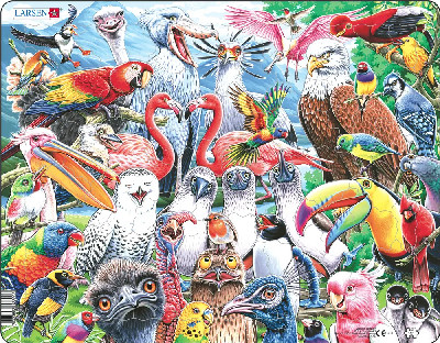 Jig-so Adar Hapus o Bob Rhan o'r Byd / Cheerful Birds From All Over the World Jigsaw