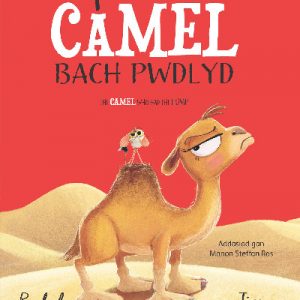 Y Camel Bach Pwdlyd / The Camel who had the hump