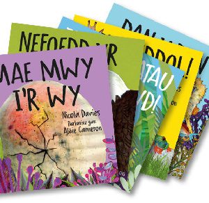 Pecyn Darllen Cyfres Rhyfeddol!