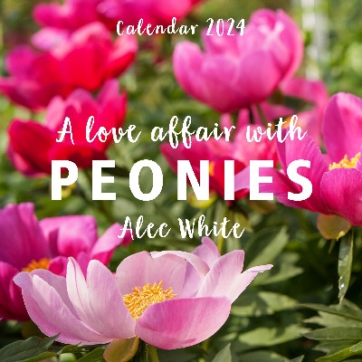 Love Affair with Peonies Calendar 2024, A