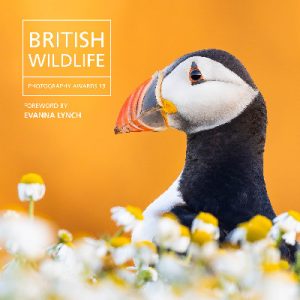British Wildlife Photography Awards 13