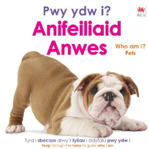 Pwy ydw i? Anifeiliaid Anwes / Who Am I? Pets
