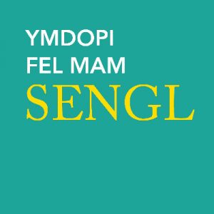 Ymdopi Fel Mam Sengl
