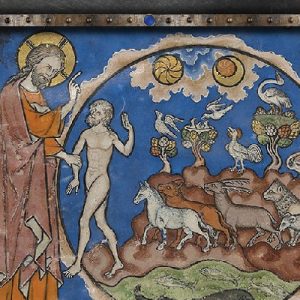 Introducing Medieval Animal Names