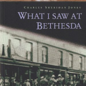 What I Saw at Bethesda