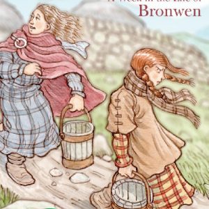 Everyday Life in Wales in the Iron Age