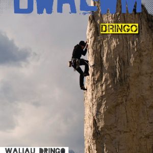 Cyfres Bwrlwm: Dringo