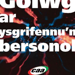 Golwg ar Ysgrifennu'n Bersonol