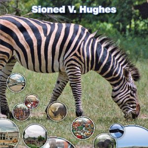 Cyfres Gwledydd y Byd: Botswana