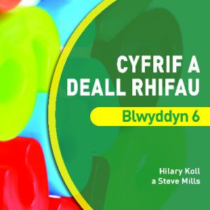 Datblygu Mathemateg: Cyfrif a Deall Rhifau Blwyddyn 6