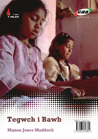 Cyfres y Fflam: Tegwch i Bawb/Crys T